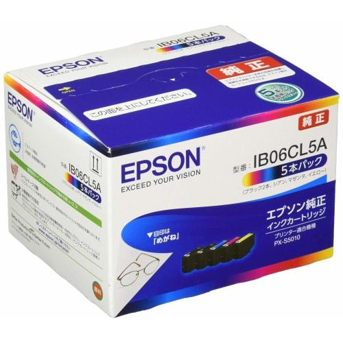 Epson genuine ink cartridge glasses IB06CL5A 5 pack black 2 bottles