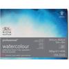 Watercolor Paper - WINSOR & NEWTON - Satin Grain - 100% Cotton - 300 G/m² - 30.5x40.6 Cm - 20 Sheets