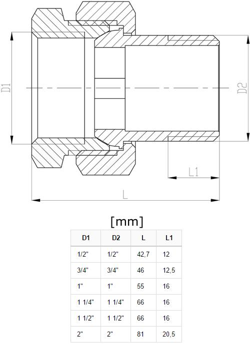 Brass Straight Union 1/2”