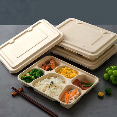 Degradable Sugarcane Pulp 6-Compartment Takeaway Lunch Box