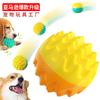 Pet Supplies Factory Wholesale Company New Explosion Amazon Dog Toy Sound Toothbrush Training Molar Ball