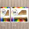 Shachihata Colored Thick 24 Colors Pencils, Core, ZCP-24C,