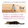 Minori-en Neko Tea Matcha-Infused Genmaicha Tea Bag 3 Packs Gift Mitarashi-chan 1 Piece Thank You Message Cat Goods