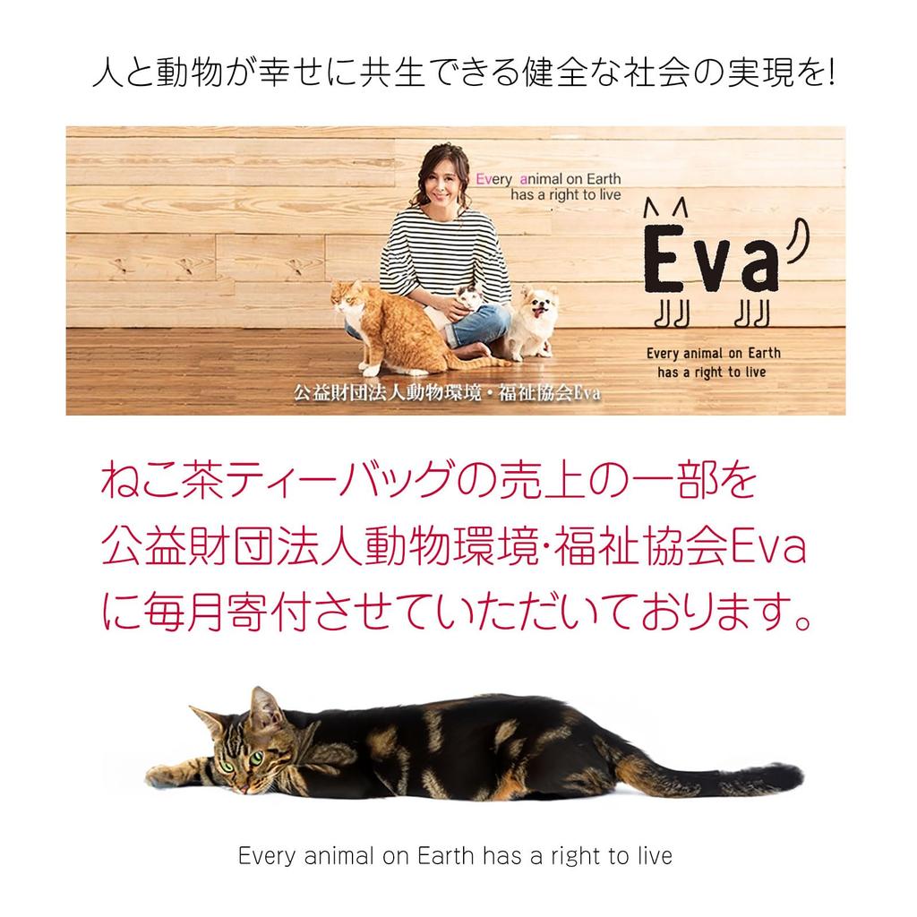 Minori-en Neko Tea Matcha-Infused Genmaicha Tea Bag 3 Packs Gift Mitarashi-chan 1 Piece Thank You Message Cat Goods
