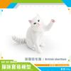 Children's Realistic Model  Figurine