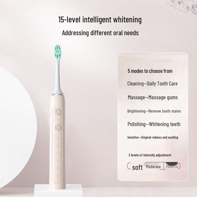 SID RT860 Ultrasonic Rechargeable Electric Toothbrush