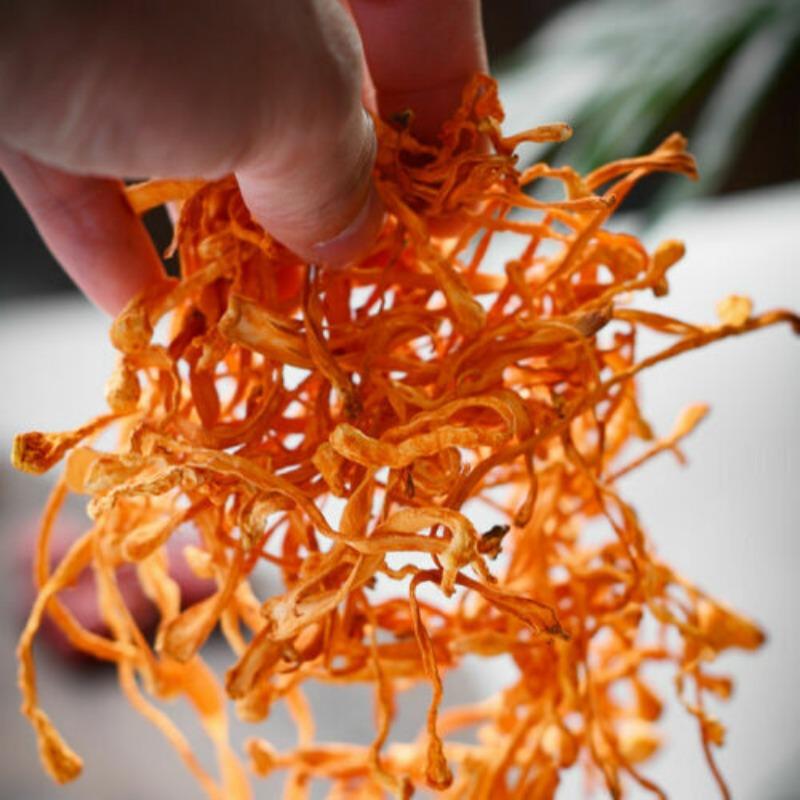 Dry Cordyceps Flower Chinese Herbal Medicine Chong Cao Herb Food Health