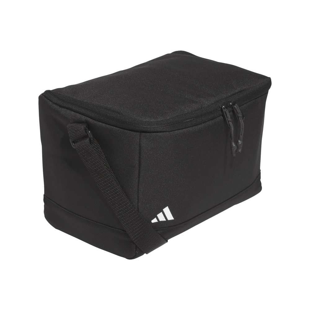 Cooler bag