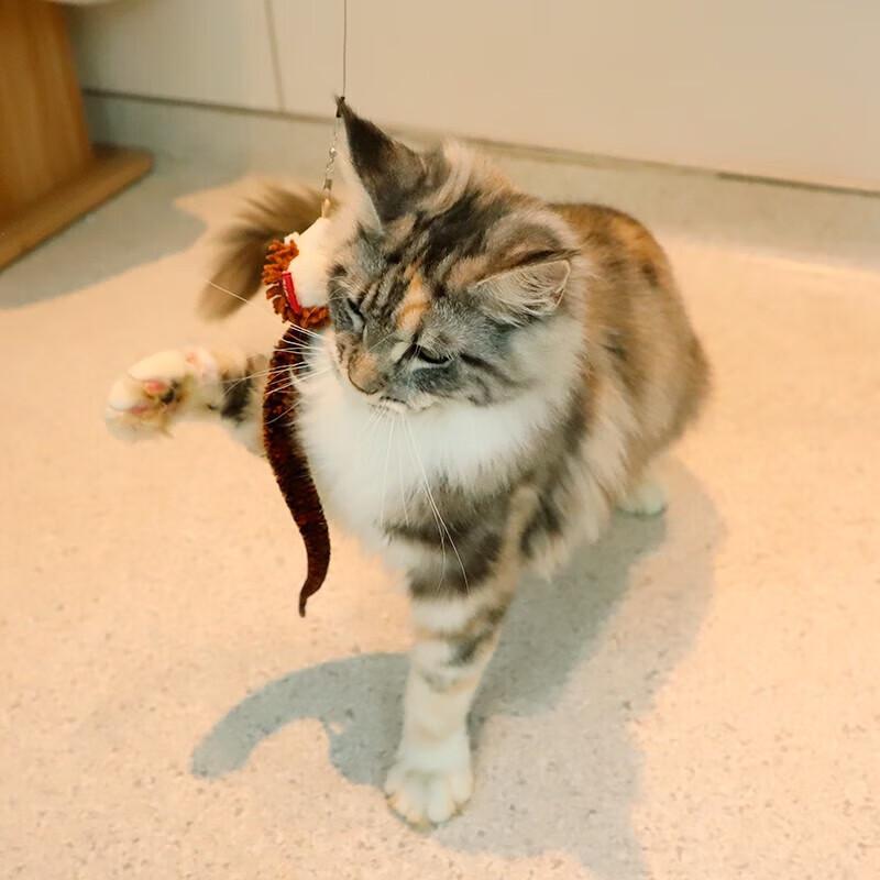 Retractable Feather Cat Teaser Wand
