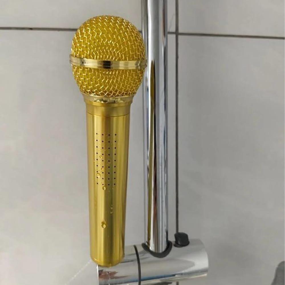 High-pressure Microphone-shaped Shower Head Funny Shower Sprayer New Showerhead Bathroom
