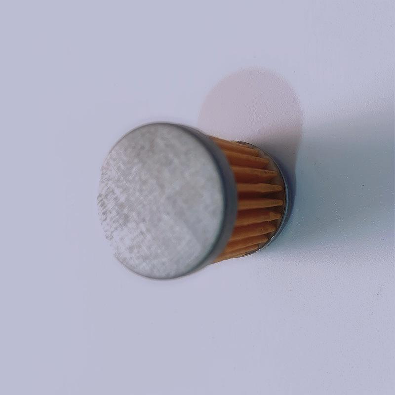 QS125/GS125/GT125 Junlong Gasoline Filter Element