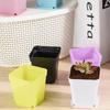 20 Stück/Set Süßigkeitenfarbe 7cm Quadratischer Mini-Blumentopf mit Untertasse Büro Schreibtisch Pflanzenzuchtbehälter Sukkulententopf Garten Baumschulen ZYF
