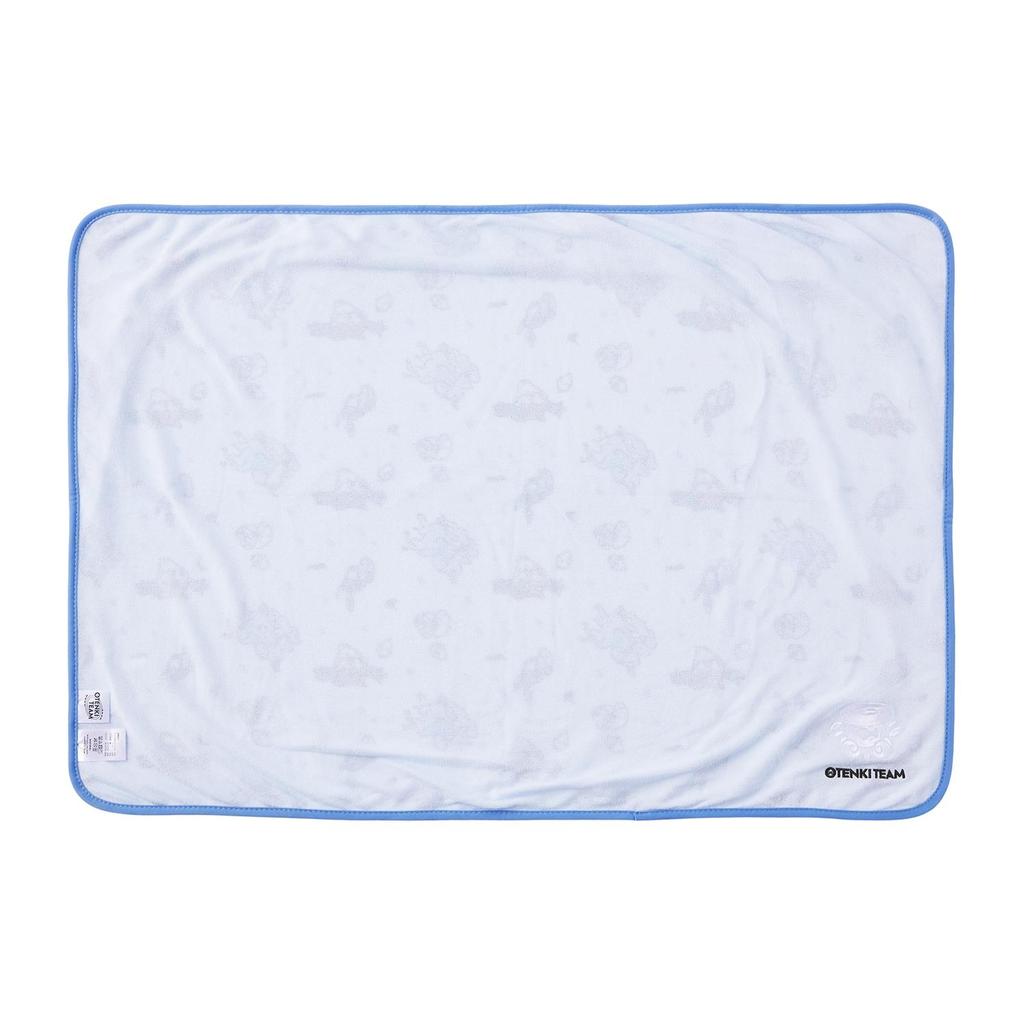 Pokemon Cooling Blanket OTENKI TEAM Yukifurashi Japan NEW