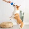 Dog Squeaky Ball Toy Bite Resistant Pet Interactive Chew Toy Small Medium Large Dogs Teething Cleaning Boredom Enrichment Toy