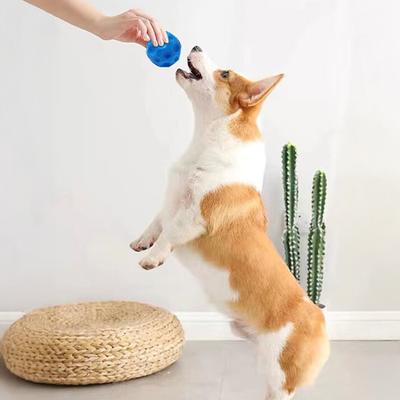 Dog Squeaky Ball Toy Bite Resistant Pet Interactive Chew Toy Small Medium Large Dogs Teething Cleaning Boredom Enrichment Toy