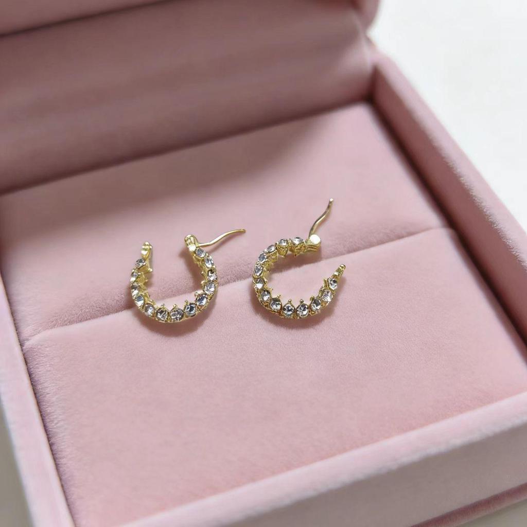 Autumn/Winter Crystal Hoop Earrings: High-End Retro Luxury Full Diamond Design for Women - Versatile and Chic.