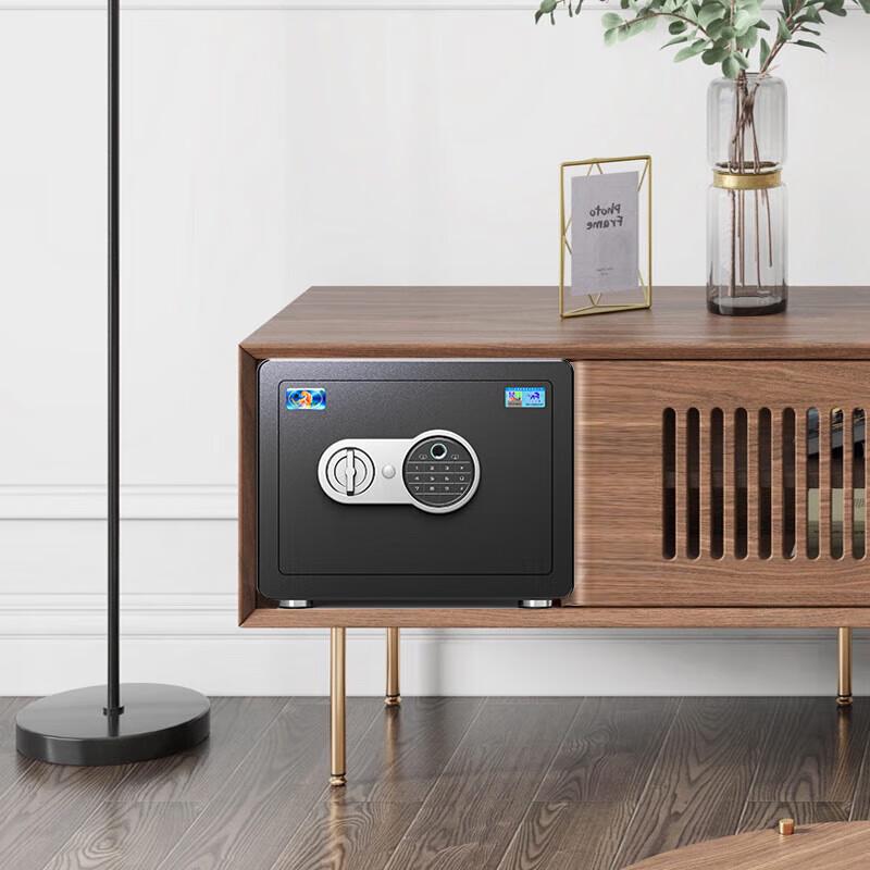 Tiger Brand Borui J Series 25cm Fingerprint & Password Safe