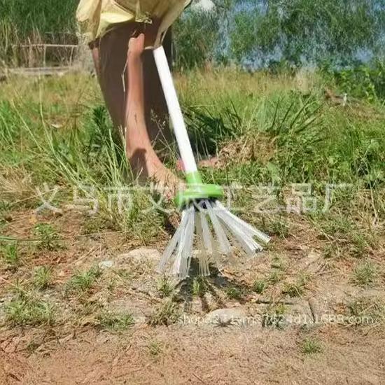 My Critter Catcher: Handheld Bug and Spider Tool