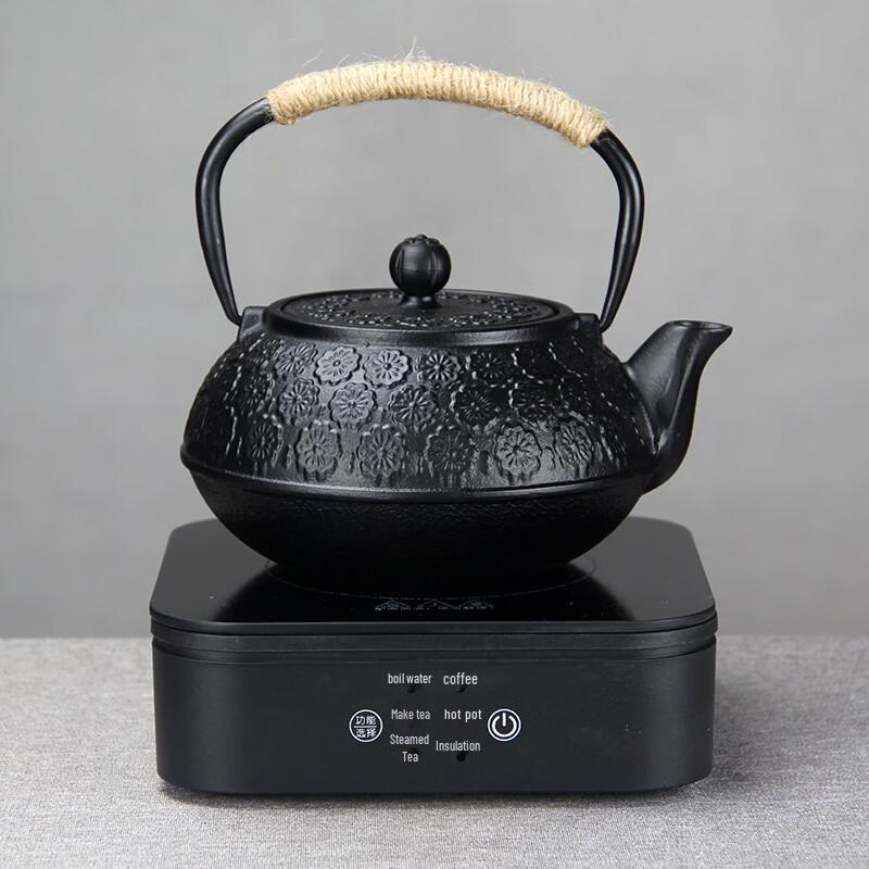 ZISIZ Sakura Cast Iron Tea Set with Electric Stove Mat