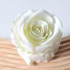 Artificial Rose Flower Heads 2.3" Fake Silk Rose Heads for Wedding Centerpieces Bridal Bouquets DIY Floral Crafts