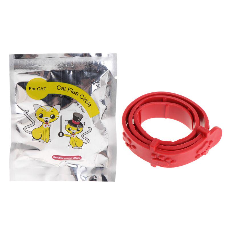 Презервативтен сперманы ішу порно