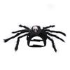 Dog Pet Halloween Cat Simulation Skull Black Spider Costume Cosplay Party Set
