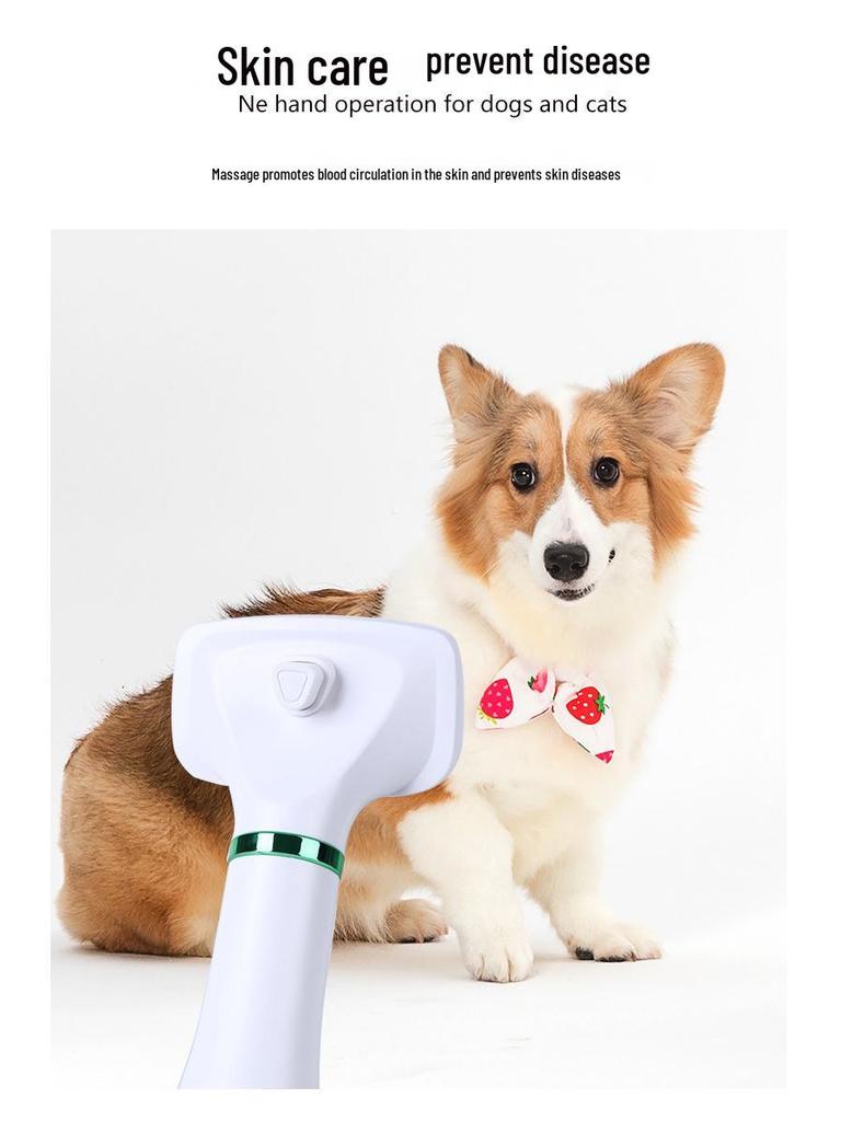 PetSmart All-in-One Electric Comb: Quick-Drying, Fluffing, and Dematting for Cats & Dogs