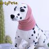 Roupa e sapatos – Acessórios para cães