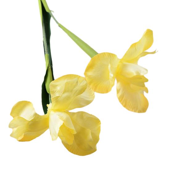 Artificial Iris Flower 2 Heads Faux Silk Flower Bouquet Long Stem Fake Iris Flowers for Floral Arrangements Table Centerpiece Party Wedding Decor