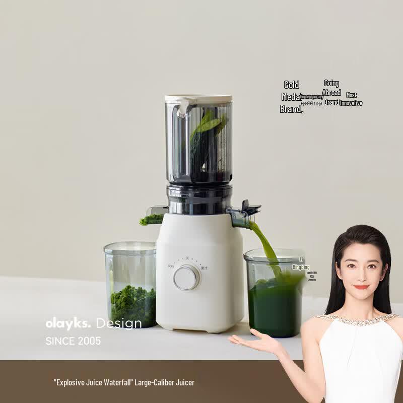 Olayks Cold Press Slow Juicer CN plug (adapter included)