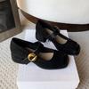 French retro Mary Jane women's shoes thick heels single shoes 2025 new spring and summer gentle matching skirt evening high heels