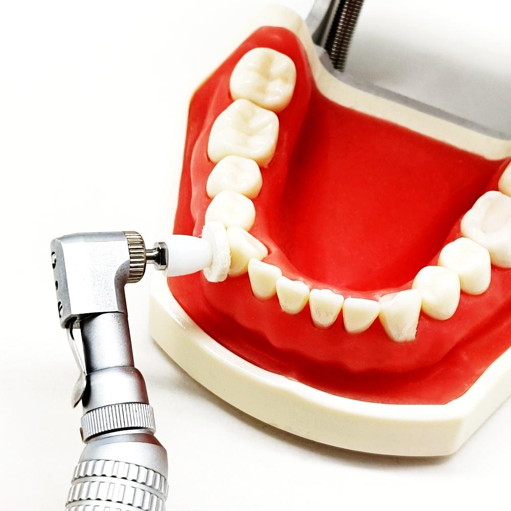 50pcs/box Dental High Gloss Composite Polishing Disc Kit White Polishing disc Paste-Impregnated Composite Finishing Mandrel