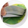 Sticky Notes Notepad Leaf Sticky Notes Stickers Self Sticky Notes DIY Decoration Plant Green Sticky Notes Leaf Stickers