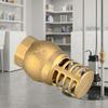 Strong Metal Brass Foot Valve Female Thread Check Valve Strainer Filter  Complete Specifications