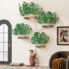 Wall-Mounted Scratching Tree In Tree Shape Made of Solid Pine Wood, with Scratching Surface & Platforms, Decorative & Stable, 155×210 Cm