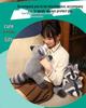 Crawling Raccoon & Panda Plush Toy - Cute Cloth Birthday Gift Doll Series