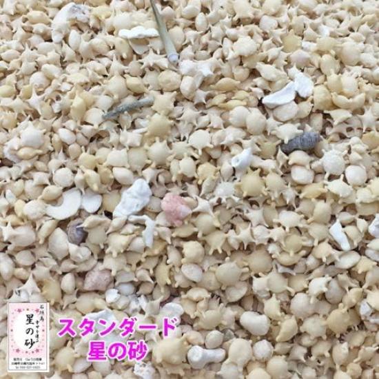 Okinawa Ishigaki Island Star Sand Pack 100g