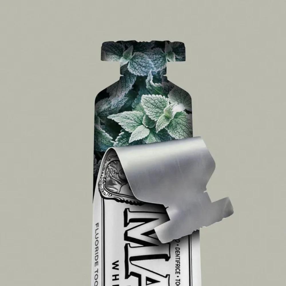 Whitening Mint Toothpaste, Deep Stain Removal Toothpaste, Fresh Cool Mint Flavor for Long Lasting Fresh Breath 85ml