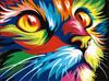 OWN4B Cross Stitch Embroidery 11ct Colorful Cat Easy Embroidery Set for 36x46cm Kit, Pattern, Beginners,