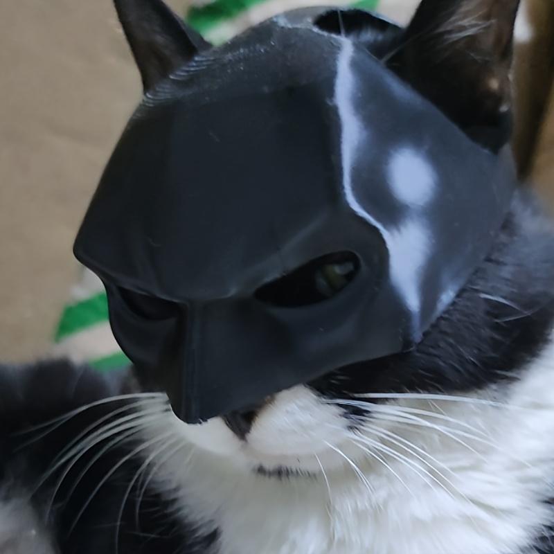 Prank Funny Black Bat Shaped Pet Cat Helmet with Bungee Cord Photo Mask