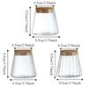 3PCS Small Size Hydroponic Plants Vase Decorative Water Cultivation Vase  Garden Accessories