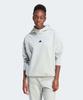 Zne. Überkopf-Hoodie Silbergrau In5124