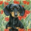 Full 5D Diy Diamond Painting Dog Diamond Embroidery Full Cross Stitch Home Decor Handmade Gift