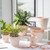 Terracotta Nordic Ceramic Flower Pot with Tray - Large, Coarse Pottery for Succulents and Pothos
