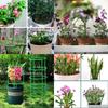 1-16PCS Plastic Plant Support Pile Frame Greenhouse Arrangement Semicircle Fixed Rod Indoor Flower Plant Vine Climbing Bracket