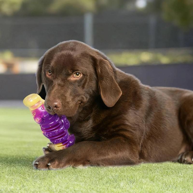 Durable Nylon Animal Shape Chew Toy for Medium Large Dogs Aggressive Chewers Exercise and Teething Play