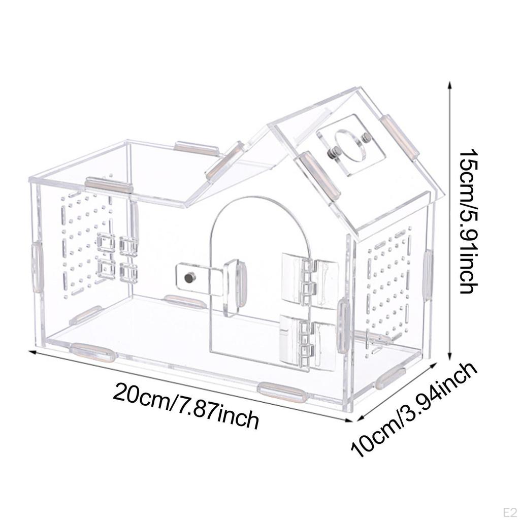 Reptile Feeding Box Transport Container Accessory Animal Habitat Cage Critter Keeper for Frog