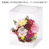 Made in LL 20 x 20 x 30cm 4 clear Flower bouquet preserved flower gift stuffed collection Japan, size, high, cases. boxes, cases, flowers,