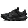ACG Mountain Fly Low GTX SE Водонепроникні Низькі Взуття для Активного Відпочинку Чоловічі Чорні DD2861-002