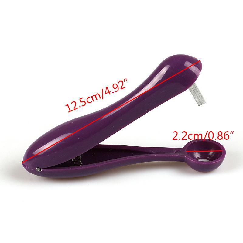 

Cherry Fruit Kitchen Remove Pit Tool Fruit and Vegetable Tools